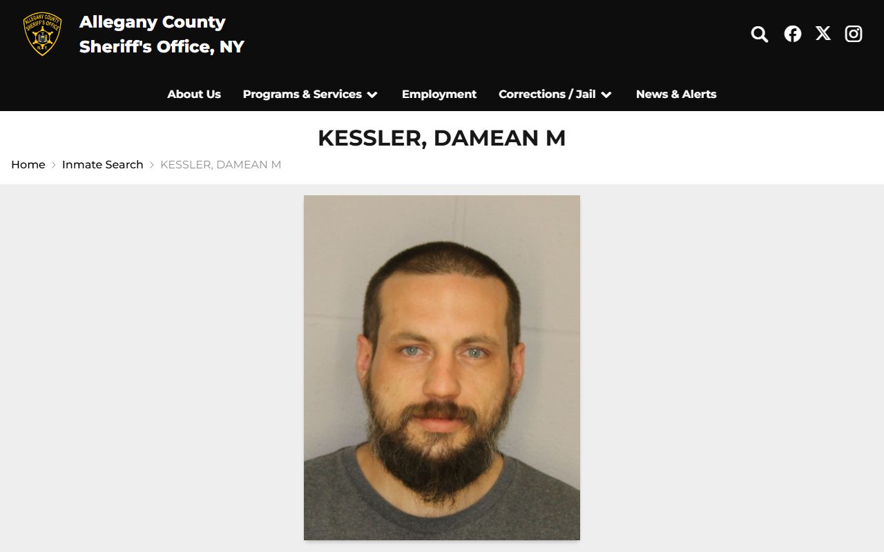 Sample Allegany County OCV inmate profile with booking photo and charge details